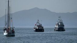 4 Aktivis Italia dari Global Sumud Flotilla Dideportasi Israel Setelah Sempat Ditahan