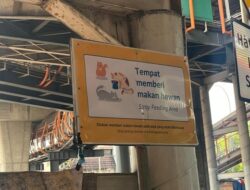 “Di Jaksel, Tempat Khusus Memberi Makan Kucing Di Halte Velbak Jadi Sorotan”