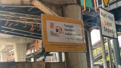 “Di Jaksel, Tempat Khusus Memberi Makan Kucing Di Halte Velbak Jadi Sorotan”