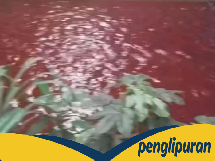 Air Kali di Serpong Berwarna Merah, Pemkot Tangsel Cek Penyebabnya - Update 1