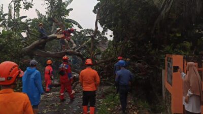 Angin Kencang Diterjang, 41 Rumah dan Sekolah di Bogor Terkena Dampak