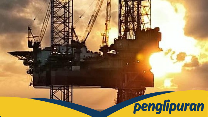 Menteri ESDM, PLN & Pertamina Ungkap Cara Wujudkan Mandiri Energi di Sini
