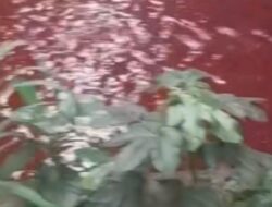 Dugaan Biang Kerok Air Kali di Serpong Berwarna Merah – Update 1