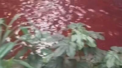 Dugaan Biang Kerok Air Kali di Serpong Berwarna Merah – Update 1