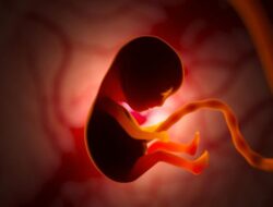 “Terobosan Medis! Ilmuwan AS Ciptakan Embrio Bayi dari Sel Kulit Manusia: Transformasi Medis yang Mengubah Masa Depan Kehamilan”