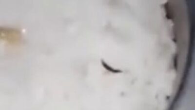 Ulat Viral di Nasi MBG SMPN 2 Parung, SPPG Iwul Parung Klaim Hewan Asal Pisang