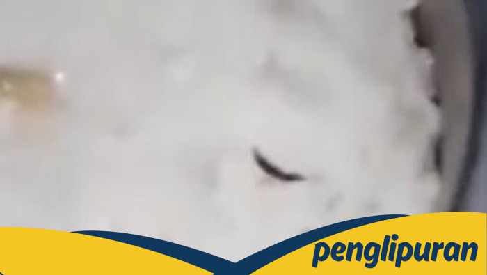 Ulat Viral di Nasi MBG SMPN 2 Parung, SPPG Iwul Parung Klaim Hewan Asal Pisang