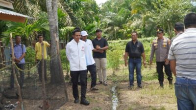 **Revitalisasi Pertanian: Setengah Hektare Lahan di 2 Desa Rokan Hulu Siap Ditanami Jagung**