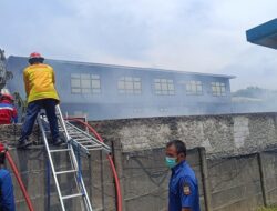 Kebakaran Menerjang Pabrik Bingkai di Cibinong, Asap Mengepul di Langit Bogor