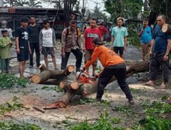 **Pohon Tumbang Hancurkan Lalin di Limo Depok, Petugas Berjuang Membebaskan Jalan**