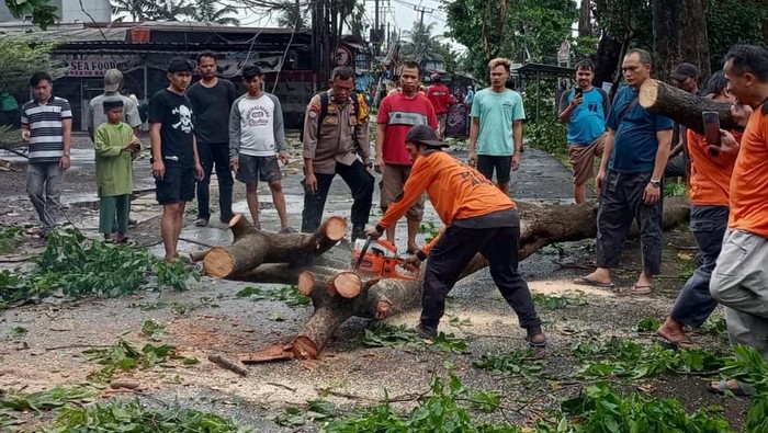 **Pohon Tumbang Hancurkan Lalin di Limo Depok, Petugas Berjuang Membebaskan Jalan**