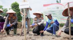 Polresta Pekanbaru Tanam Jagung, Sumbang Sembako, dan Resapi Solidaritas