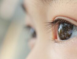 “Hari Penglihatan Sedunia 2025: Sejarah hingga Tema Tahun Ini yang Mempengaruhi Miliaran Orang”