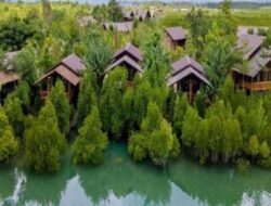 Iklim, Mangrove dan Dekolonialisasi Pengetahuan – Update 1