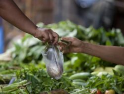 **”Viral Tren ’10 Ribu di Tangan Istri yang Tepat’, Ibu Hamil Jangan Coba-coba!”**