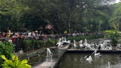 “Ragunan Malam: Jadwal & Tiket Terbaru untuk Ekspedisi Malam yang Menyenangkan”