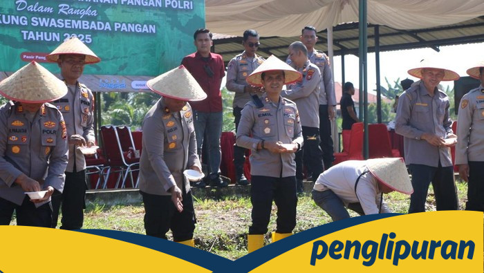 [20,5 Hektare Lahan di Rohul Ditanami Jagung, Apakah ini Solusi Ketahanan Pangan?]