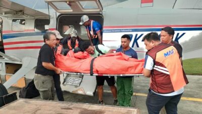 Bu Guru Yahukimo Tewas Dianiaya KKB Saat Tanam Pohon: Kronologi Tragis yang Mengejutkan Semua Orang
