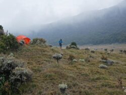 “Banyak Pendaki Buang Sampah Sembarangan, Gede Pangrango Ditutup Sementara: Krisis Pariwisata atau Peringatan bagi Kita?”