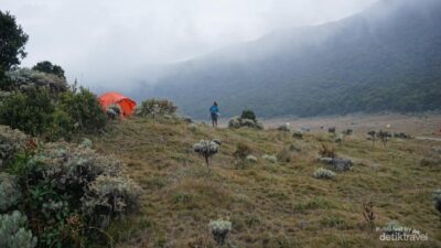 “Banyak Pendaki Buang Sampah Sembarangan, Gede Pangrango Ditutup Sementara: Krisis Pariwisata atau Peringatan bagi Kita?”