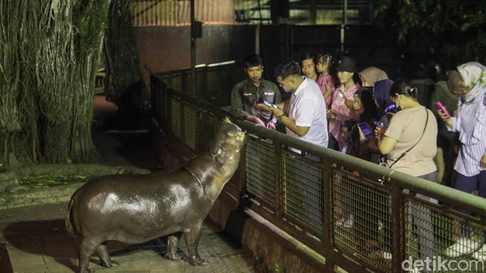 2.299 Warga Antusias Kunjungi Wisata Malam Ragunan Hari Ini - Update 1