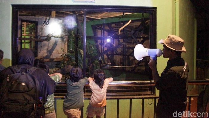Malam Ragunan Jadi Mimpi buruk karena Penerangan minim, Pengunjung Ngeluh!