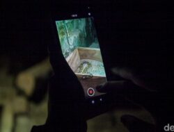 Kecewa Besar, Pengunjung Wisata Malam Ragunan Tak Dapat Saksikan Satwa!