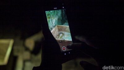 Kecewa Besar, Pengunjung Wisata Malam Ragunan Tak Dapat Saksikan Satwa!