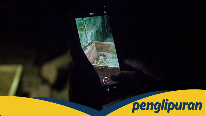 Kecewa Besar, Pengunjung Wisata Malam Ragunan Tak Dapat Saksikan Satwa!