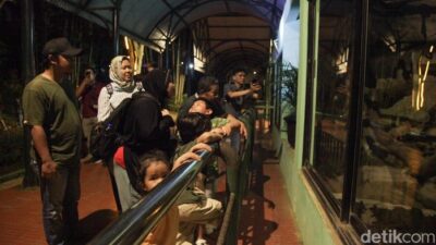 “Antusiasme Tinggi Warga Saat TM Ragunan Perdana Buka Malam Hari: Geliat Malam yang Menjanjikan”