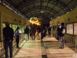 3.635 Orang Meramaikan Ragunan Night Zoo, Antusiasme Warga Jakarta Mencuri Perhatian