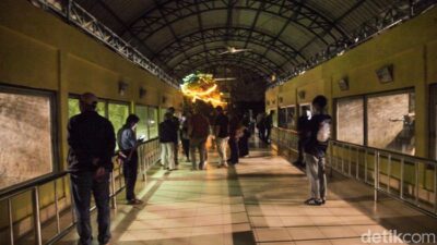3.635 Orang Meramaikan Ragunan Night Zoo, Antusiasme Warga Jakarta Mencuri Perhatian