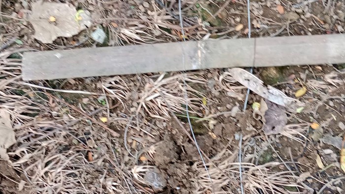 Petani di Sukabumi Tragis Tewas Tersengat Listrik dari Perangkap Babi yang Dipasangnya