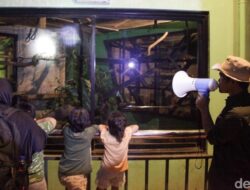 Ketua Komisi D DPRD DKI: Solusi Bus Wara-wiri untuk Wisata Malam Ragunan