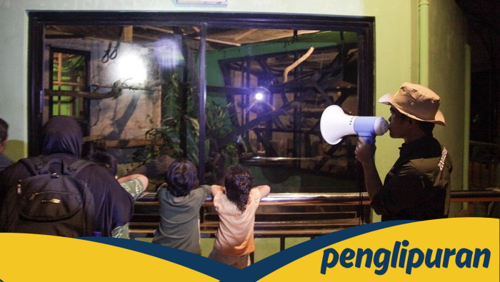 Ketua Komisi D DPRD DKI: Solusi Bus Wara-wiri untuk Wisata Malam Ragunan