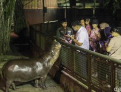 “Malam Ragunan Bercerita: Pengunjung Kecewa, Pemprov Jakarta Bergerak”