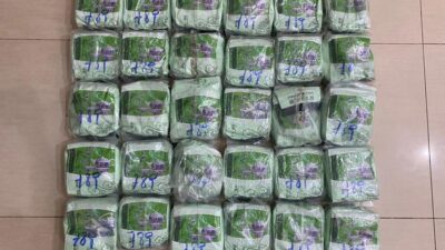 Polda Riau Gagalkan 30 Kg Sabu, Dua Pencurut Diamankan di Dumai