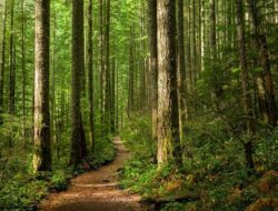 “Merawat Bumi, Peta Jalan Kearifan Nusantara: Solusi Eksklusif untuk Menyelamatkan Alam”