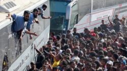 Ribuan Tahanan Palestina Bebas, Perayaan Menerjang!