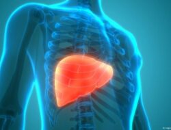 Perlemakan Hati, Ancaman Masa Depan AS-India yang Tak Terelakkan