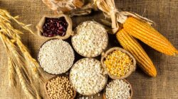 **Hari Pangan Sedunia 2025: Peringatan 80 Tahun FAO, Tema hingga Latar Belakang yang Patut Diketahui**