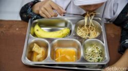 “Emak-Emak Berontak, Ini Reaksi BGN yang Guncangkan Program MBG”