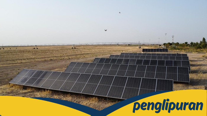 Energi Terbarukan Dunia Masih Belum Capai Target Konferensi Iklim PBB, Laporan IRENA Ungkapkan Realitas Mengejutkan