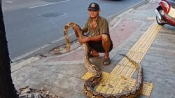 Viral Lansia Bentangkan Ular Piton, Cegah Pemotor Terobos Trotoar di Jaktim!