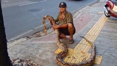 Viral Lansia Bentangkan Ular Piton, Cegah Pemotor Terobos Trotoar di Jaktim!