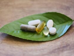 **BPOM Berinovasi dengan Fitofarmaka, Redakan Impor Bahan Baku Obat**