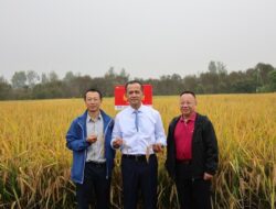 “China Incar Transmigran Indonesia: Investor Wuhan Siap Kembangkan Kawasan Baru”