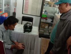 Pria Peluk dan Cium Siswi SD di Makassar Ditangkap Polisi, Ngaku Gemas – Update 1