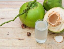 “Batu Ginjal? Ini Fakta Mengejutkan dari Air Kelapa yang Harus Anda Ketahui”