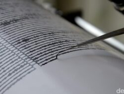 Gempa M 4,9 Guncang Maluku Tengah, Pemerintah Segera Siagakan Tim SAR